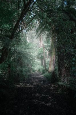 What is Linux Programming: A Journey Through the Digital Forest