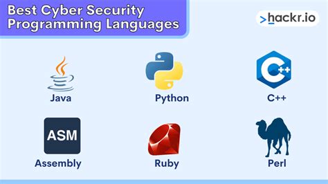 What Programming Language Should I Learn for Cyber Security? And Why Not Just Talk to Your Computer in Binary?